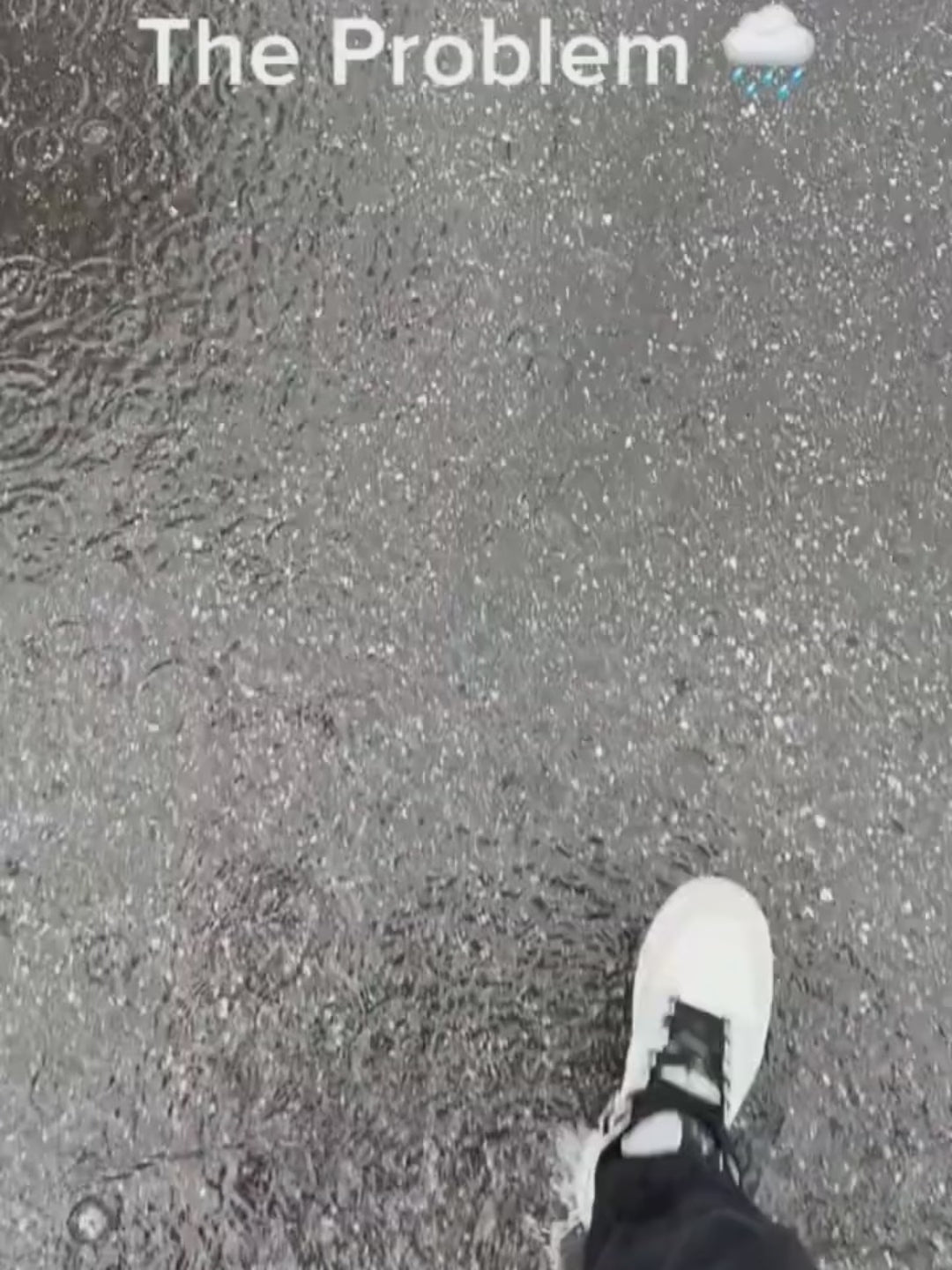 Electric Shoe Dryer & Deodorizer | Fast Drying for Wet Shoes | Portable Footwear Dryer